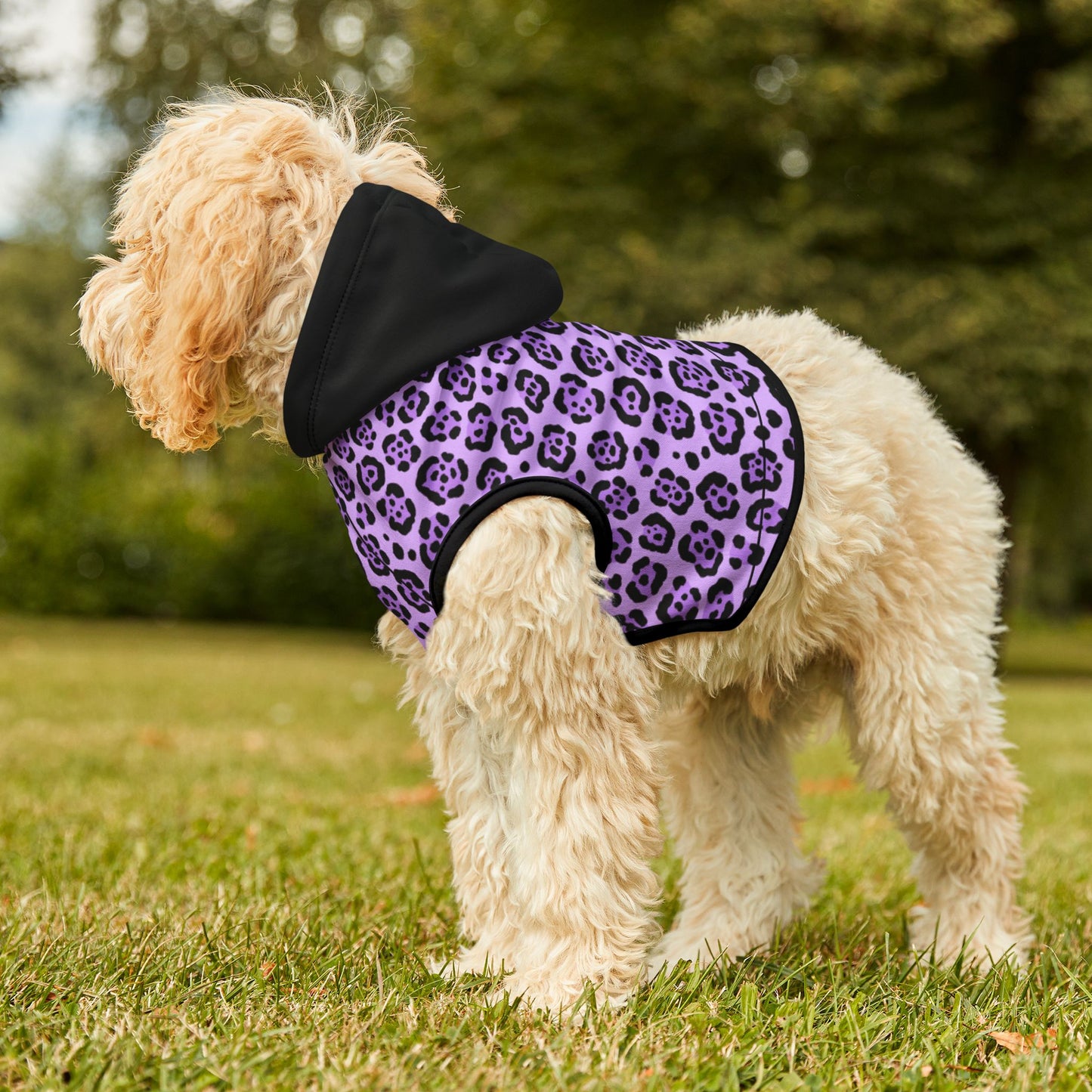 Dog Hoodie Black Hood Black Rib
