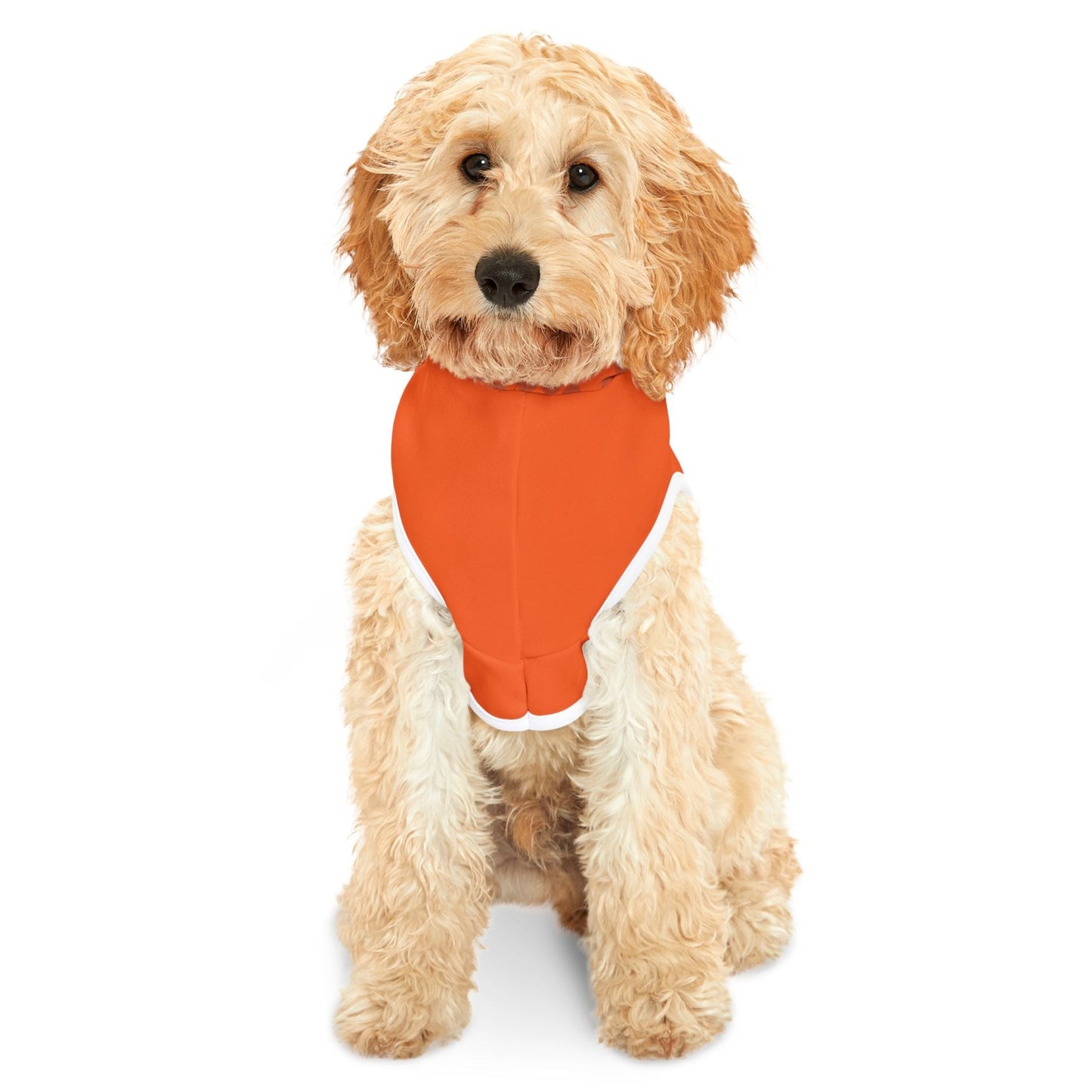 Dog Hoodie Designer Fashion