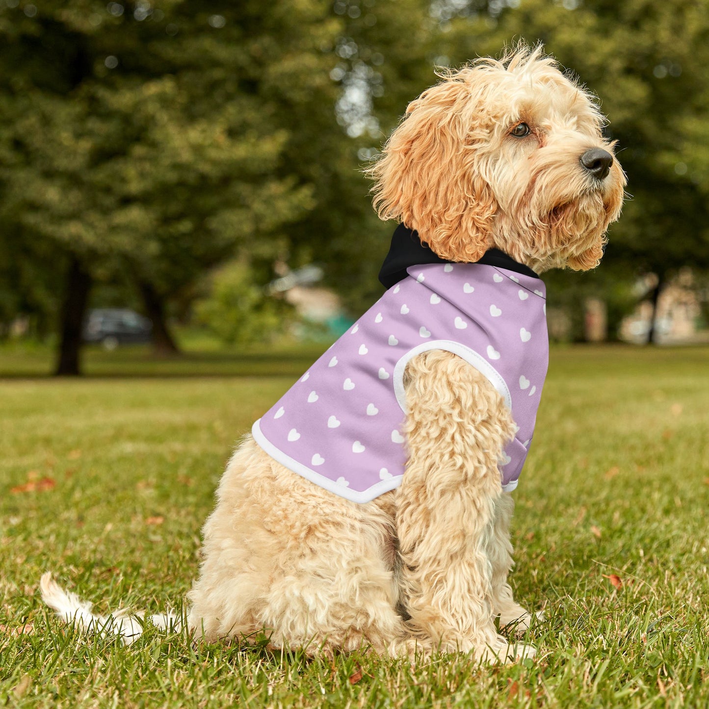 Dog Hoodie Polka Dot White Rib Black Hood