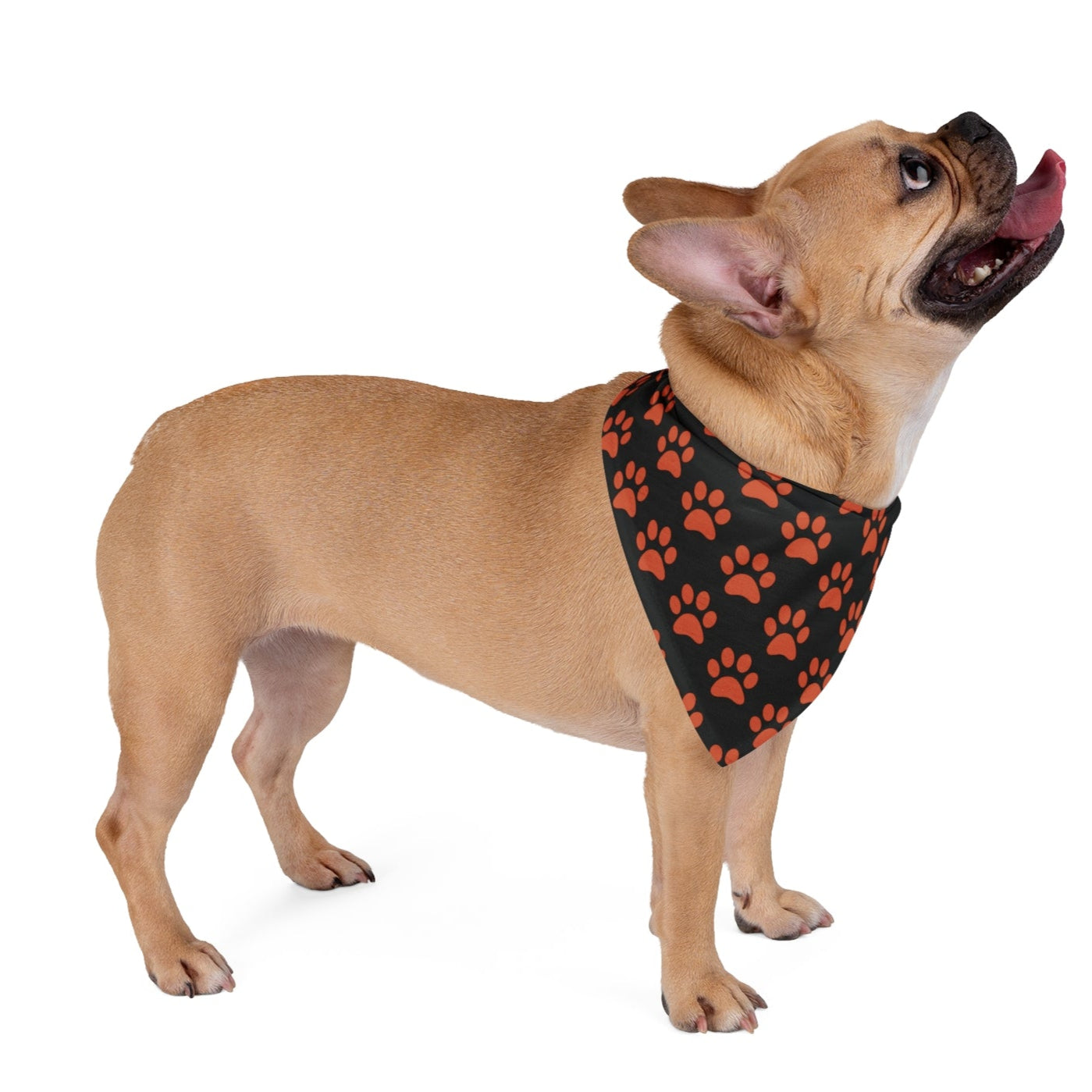 Dog and Parent Bandana
