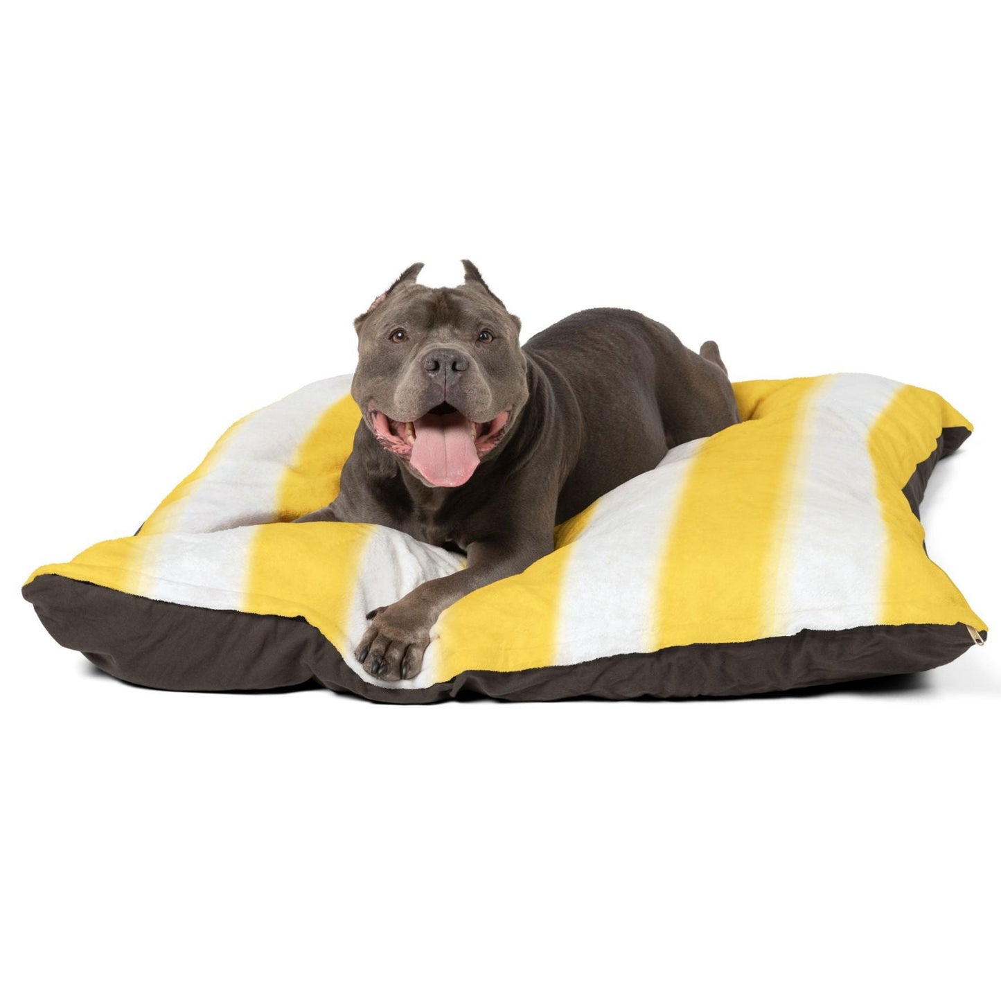Dog Bed Cotton Underside Shape Retaining Insert