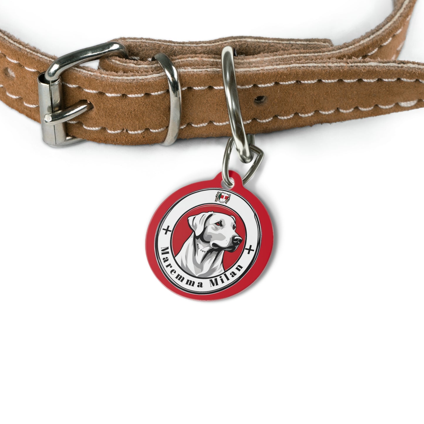 Dog Branded Tag