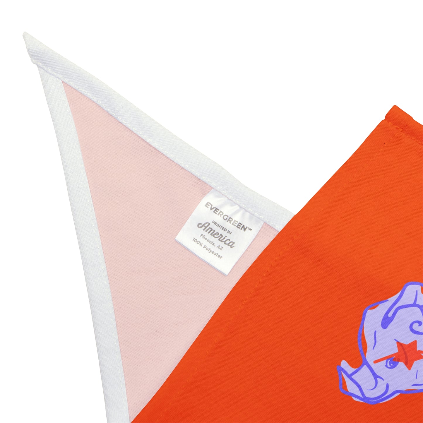 Dog and Parent Bandana "Sunglasses Dog"