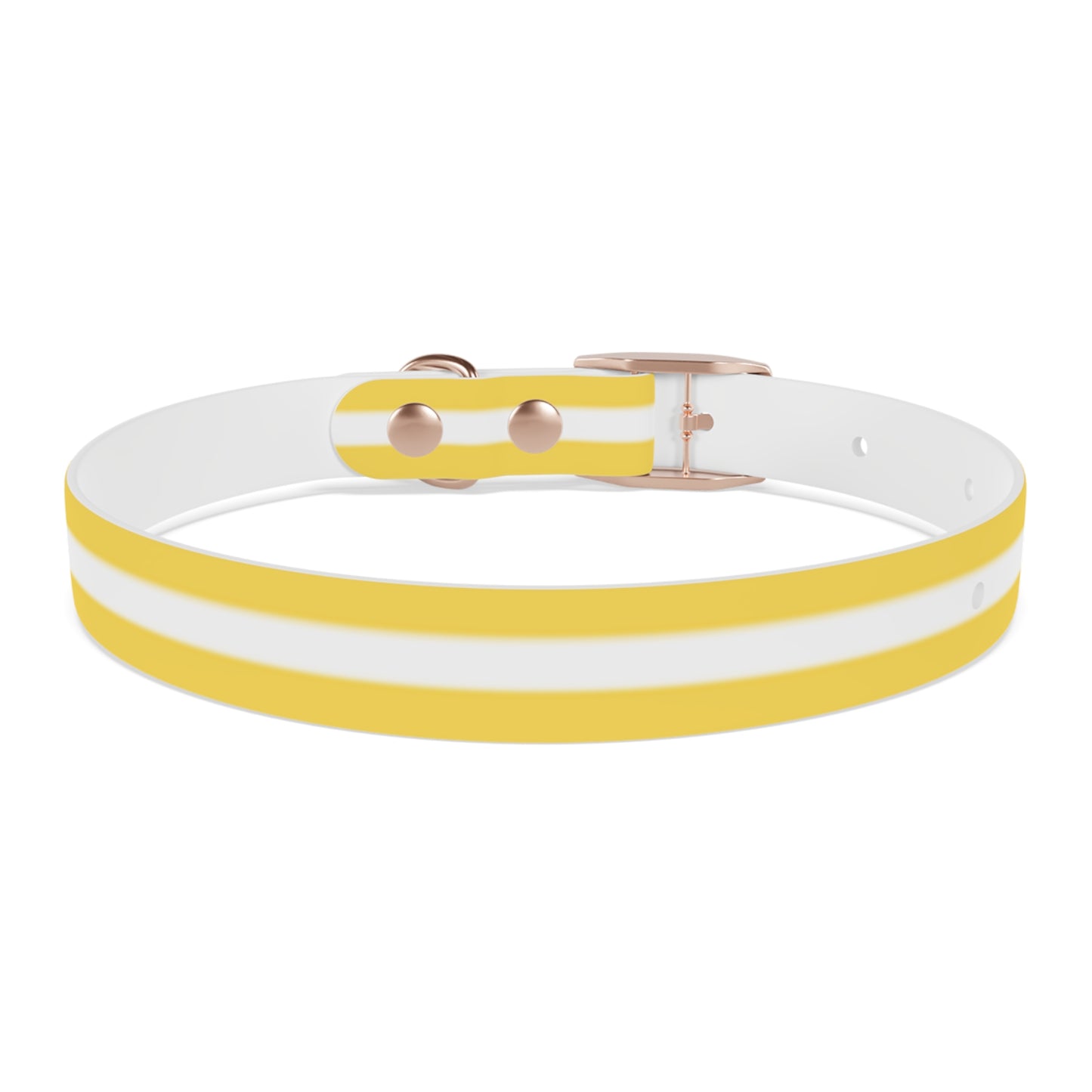 Dog Collar