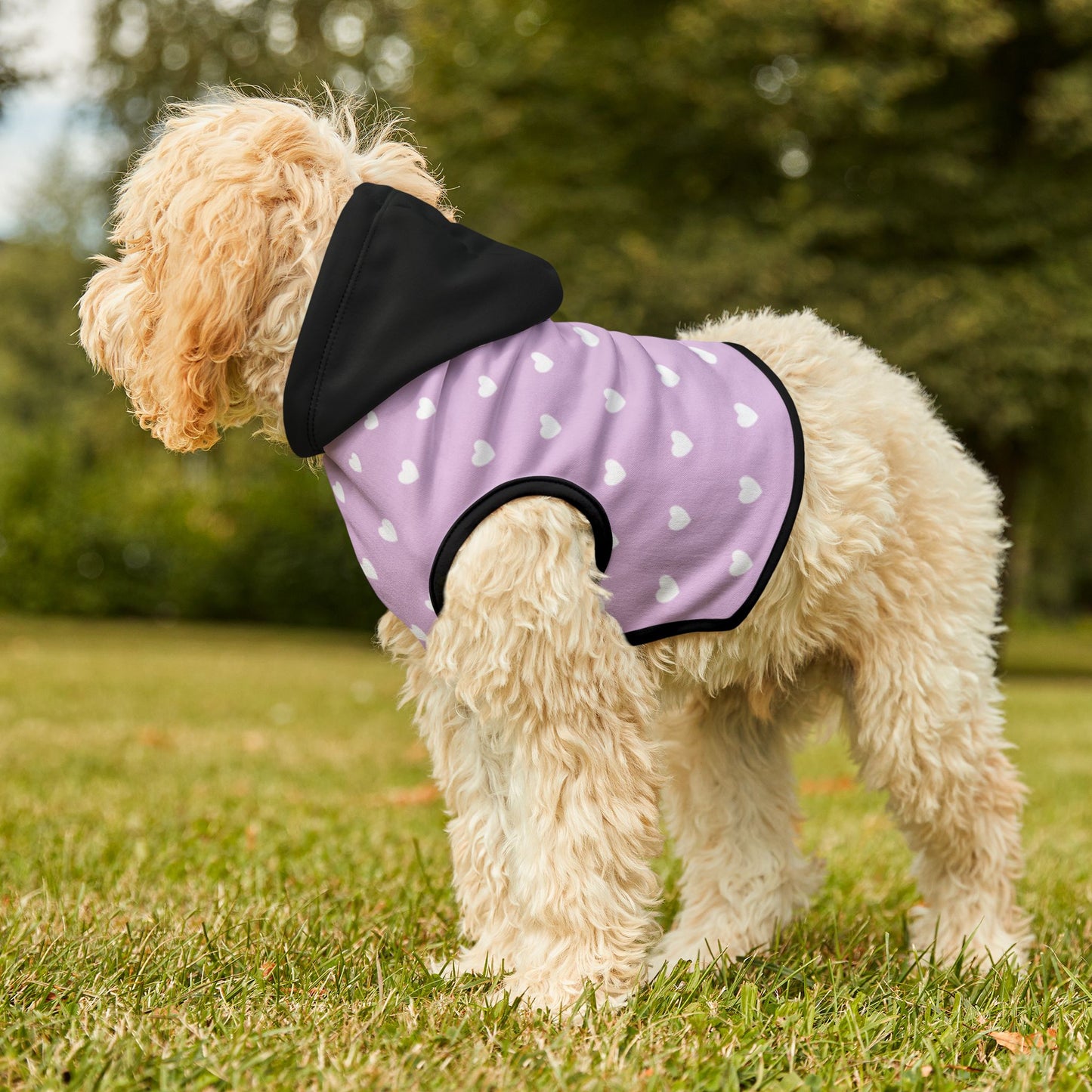 Dog Hoodie Polka Dot Black Rib Black Hoodie