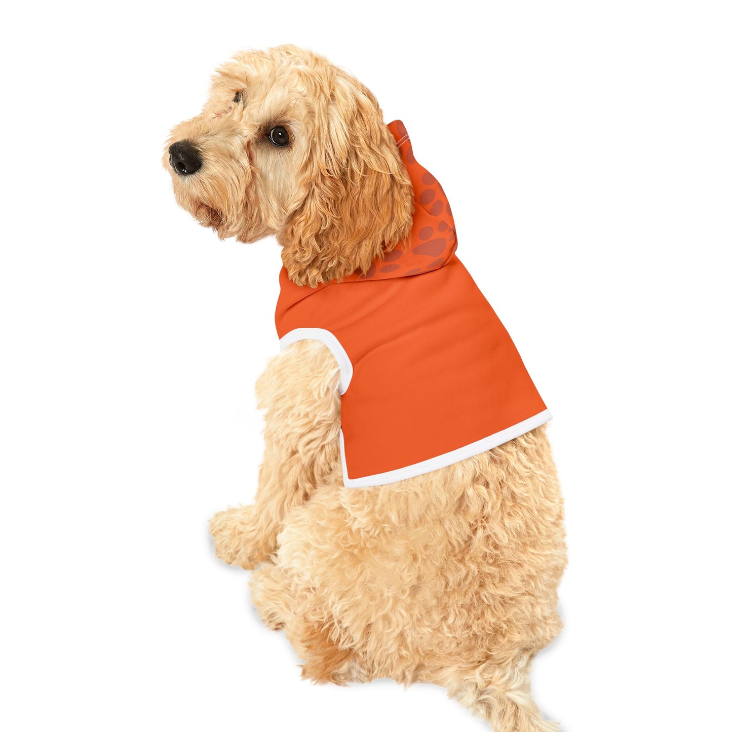Dog Hoodie Designer Fashion