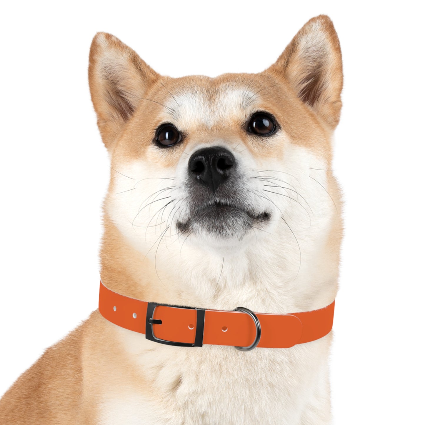 Dog Collar "Good Boys" Hypoallergenic
