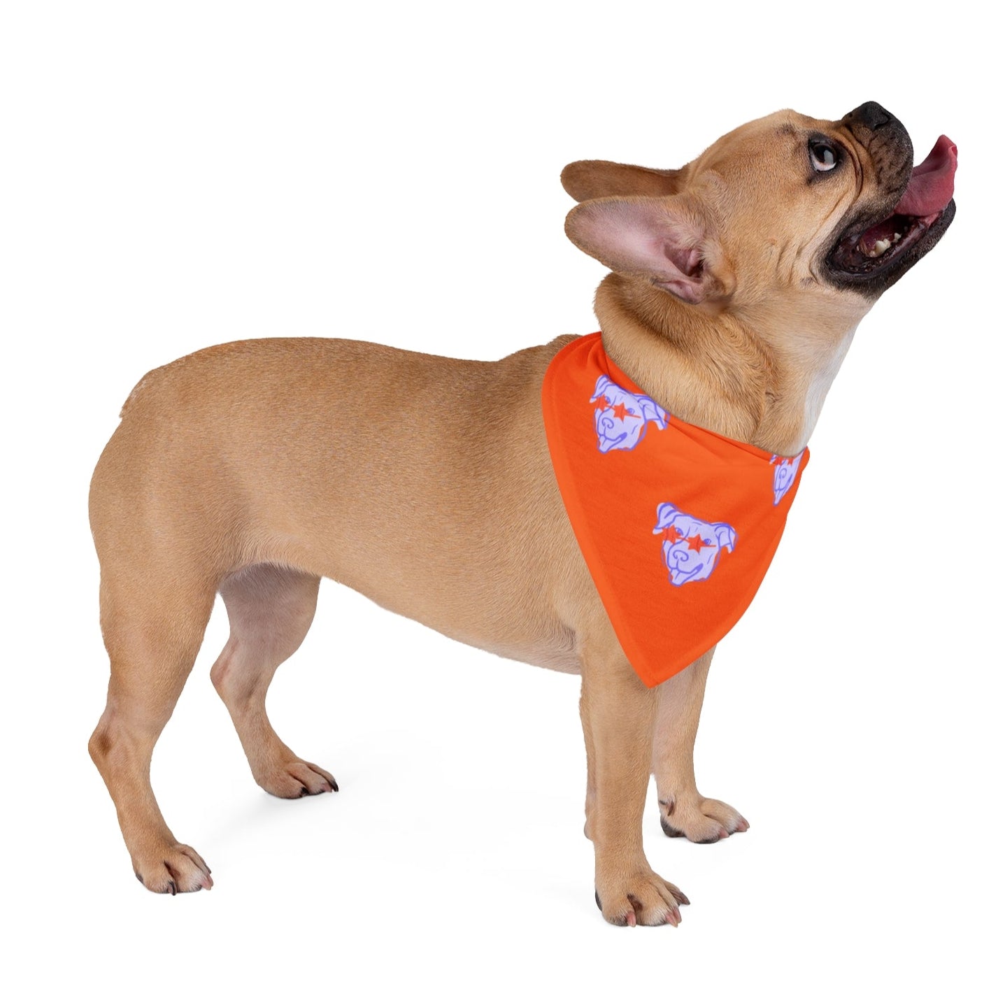 Dog and Parent Bandana "Sunglasses Dog"